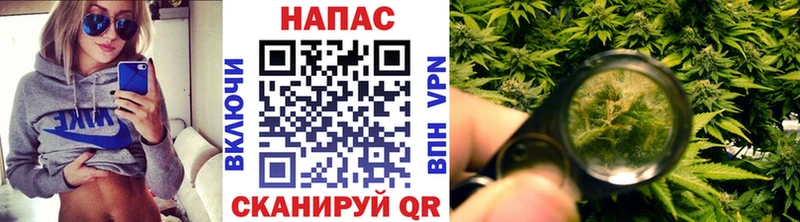 Хочу наркоту Снежногорск ГАШ  Cocaine  Alpha PVP  МЕФ 