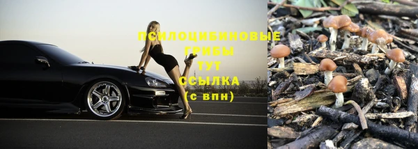 прущие крисы Аркадак