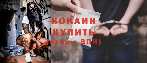 эйфоретик Арсеньев