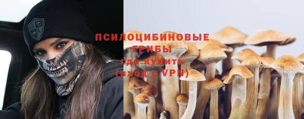 прущие крисы Няндома