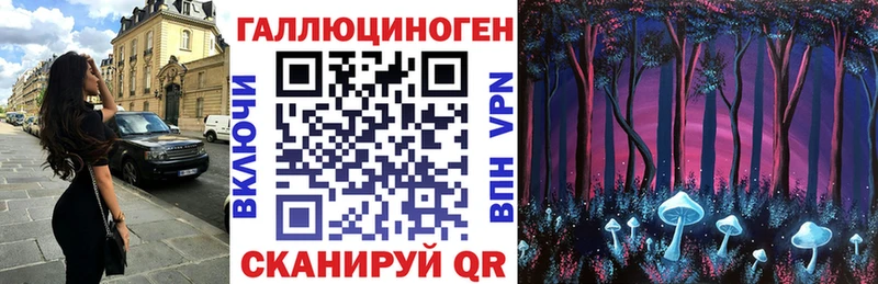 блэк спрут ONION  цены наркотик  Снежногорск  Галлюциногенные грибы Psilocybine cubensis 